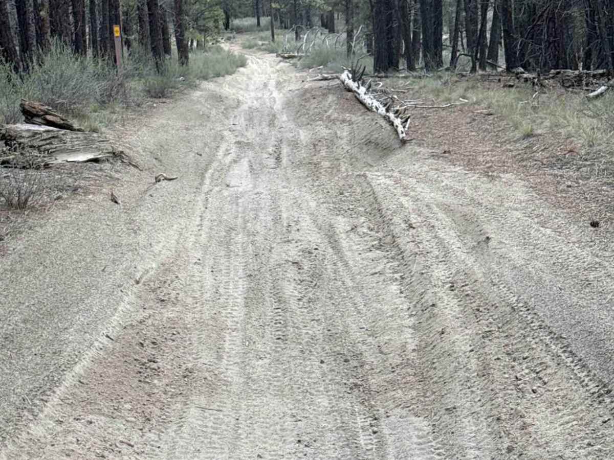 East Fort Rock - OHV Trail 40 photo 3