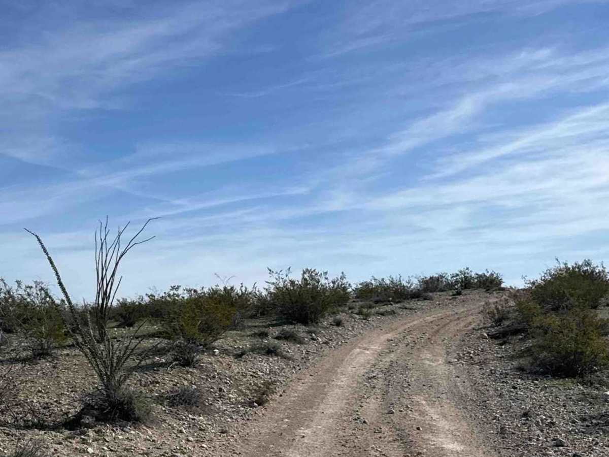 P1362 photo 4