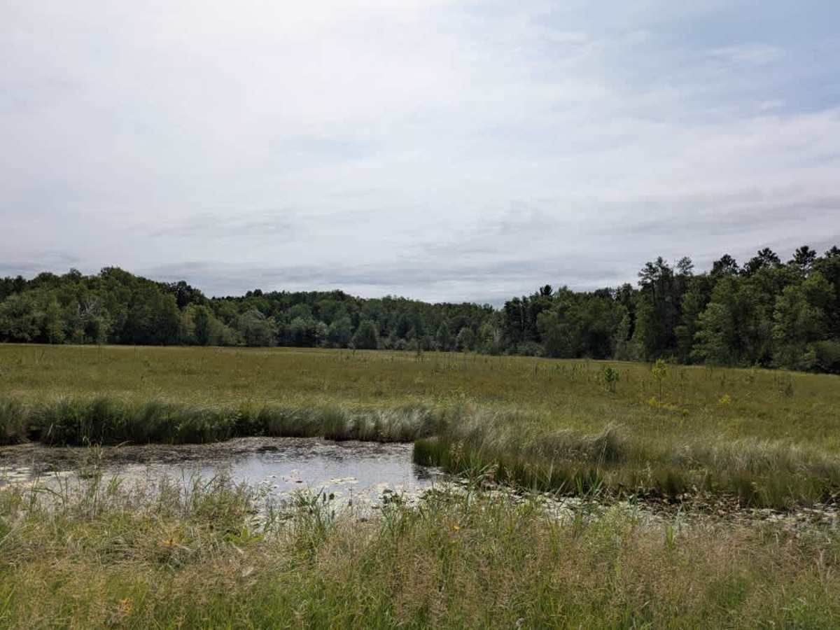 County Road 127 photo 2
