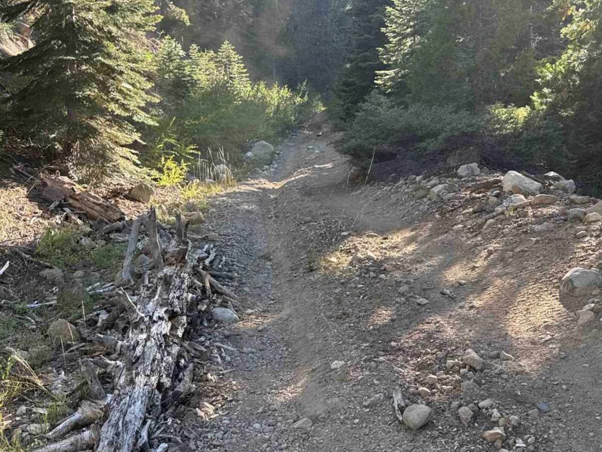 FS 7N14 trail photo