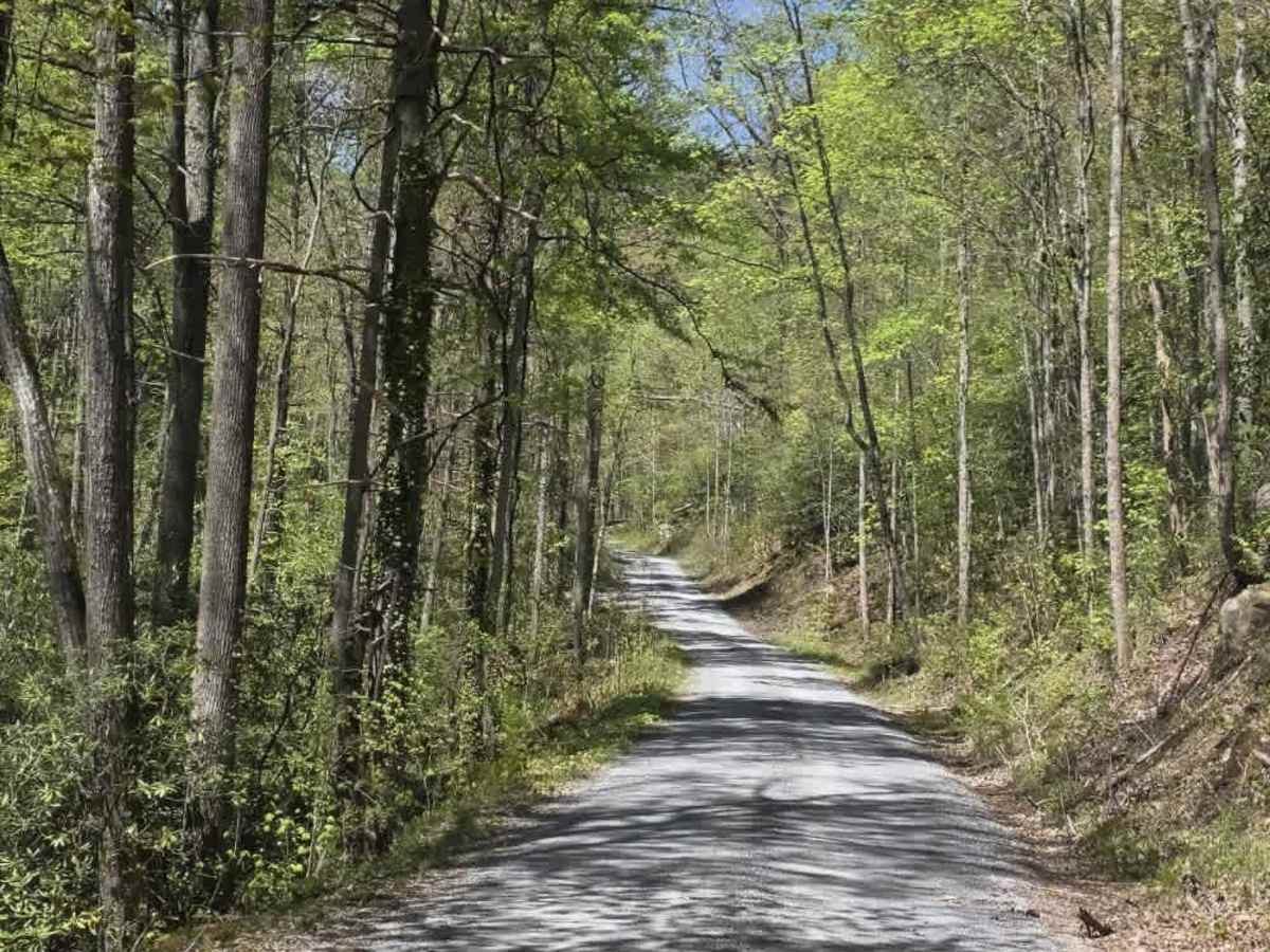 Panhandle Road photo 4