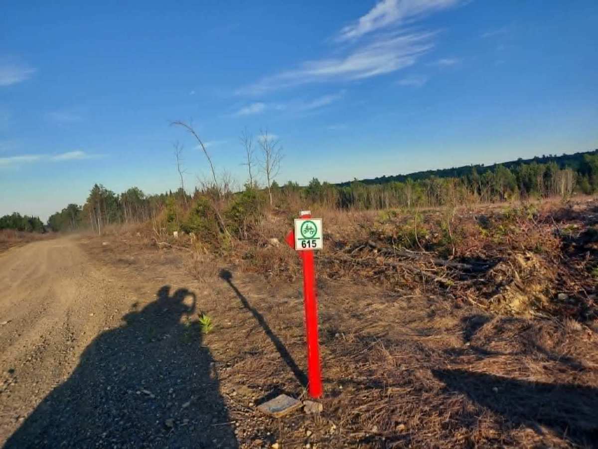Carlisle Brook Trail photo 5