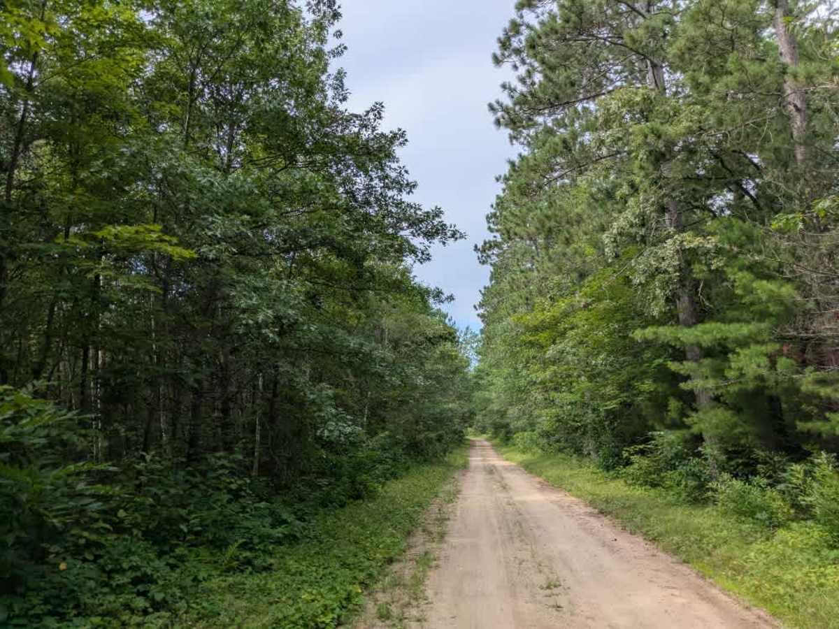 3901 trail photo