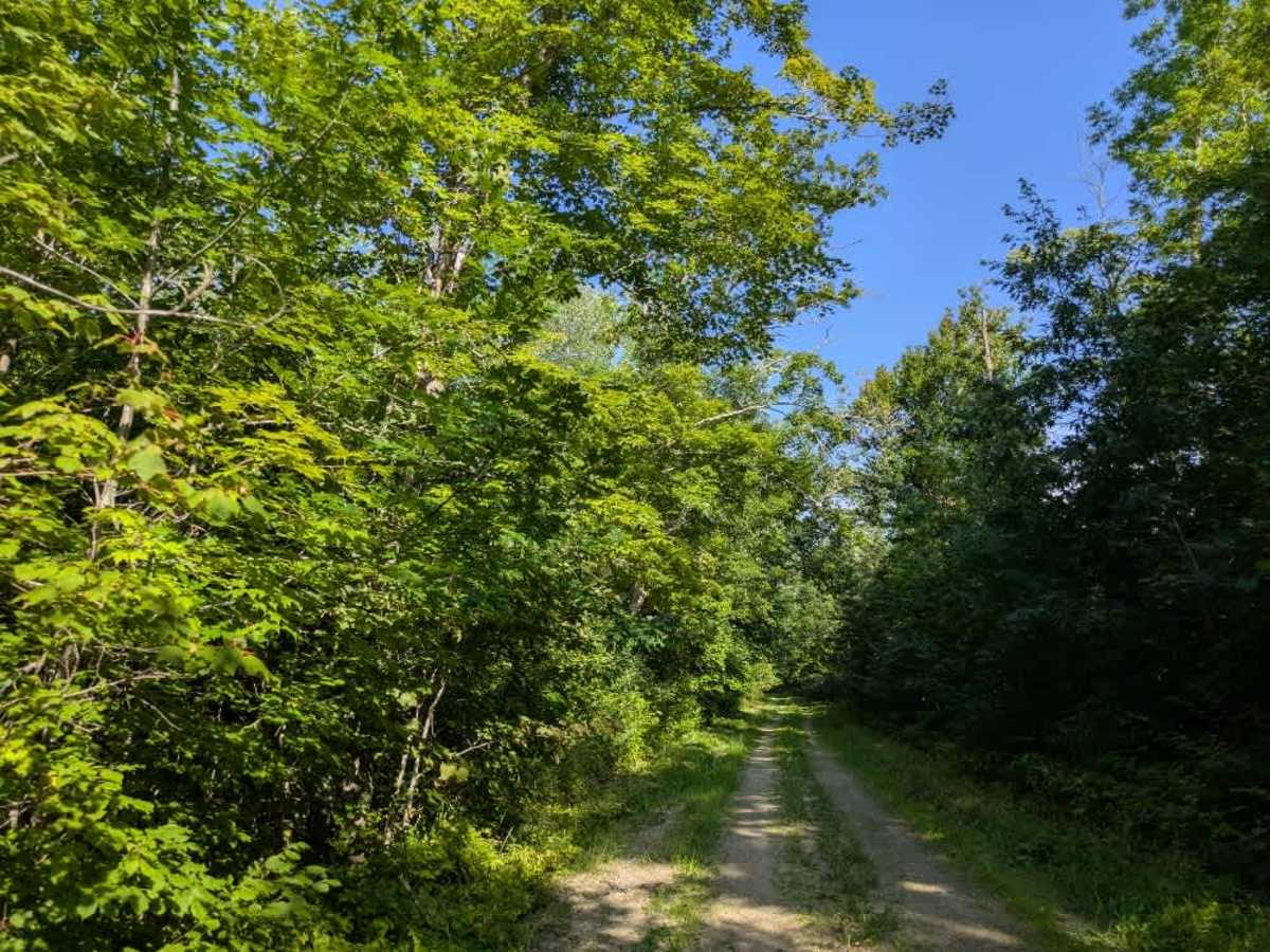 3903 trail photo