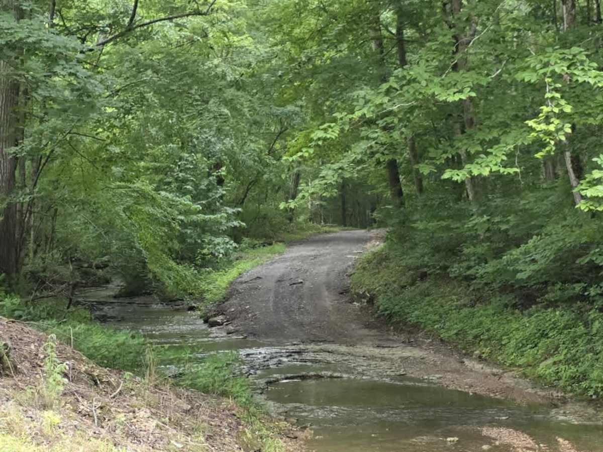 Knight Road - Macon County Tour photo 5