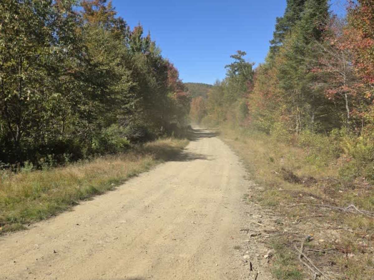 Perry Brook - Red Line Trail photo 5