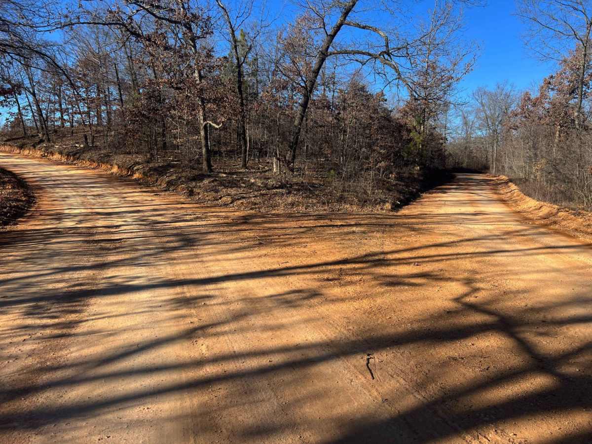 County Road SE9056 photo 3