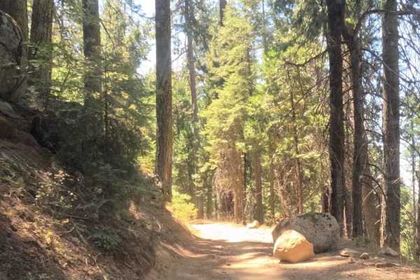 Ten Mile Grade - FS 4S004