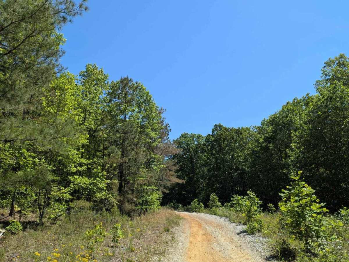 Turnpike Road photo 3