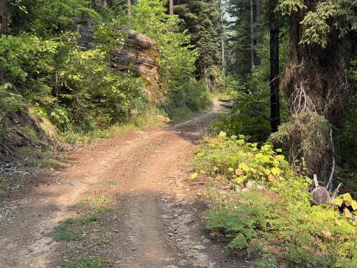 4W-7829 - Mink Peak Jeep Trail photo 4