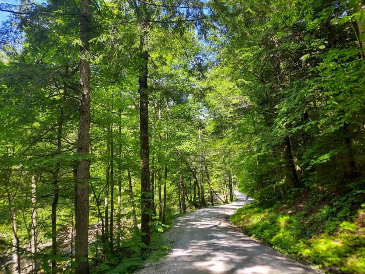 Hale Hollow Trail photo 5