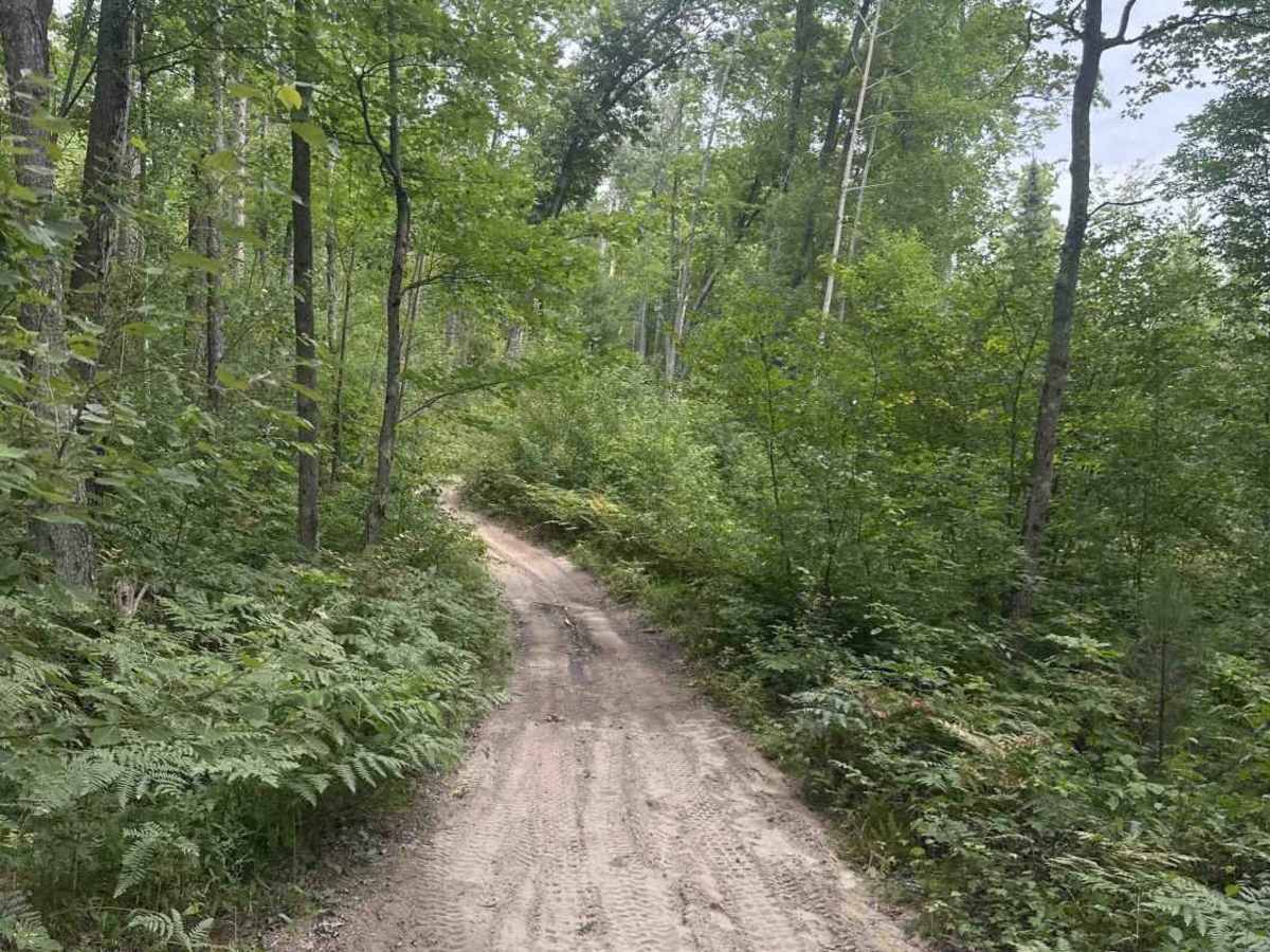 Old State House Trail trail photo