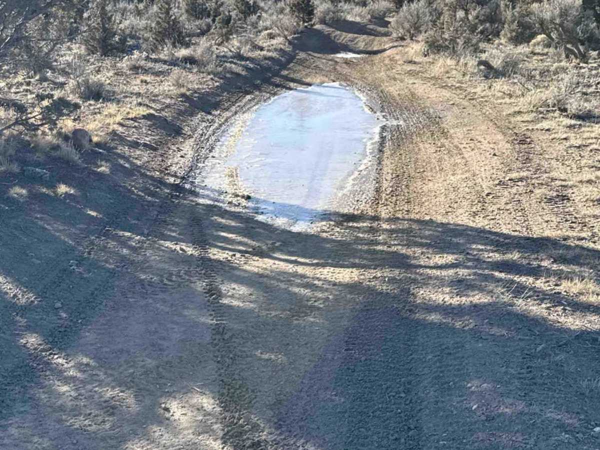 Millican Plateau OHV Trail 55 photo 2