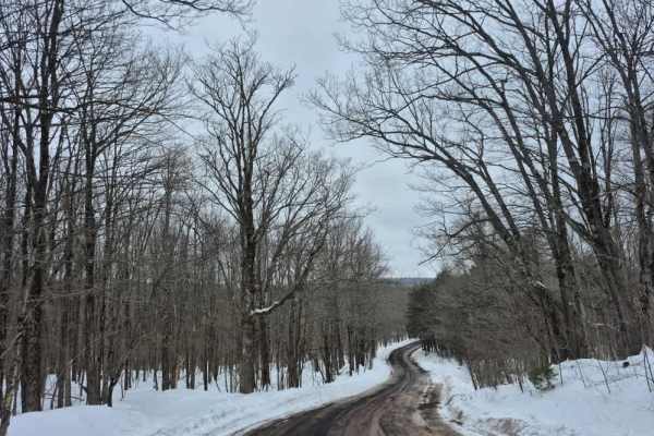 Peasley Road 