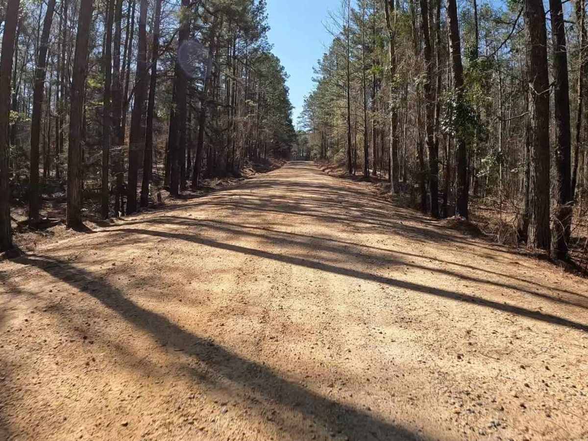 Vick Road - FS 412 photo 4