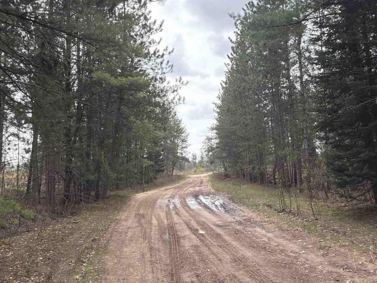 Tank trail photo 3