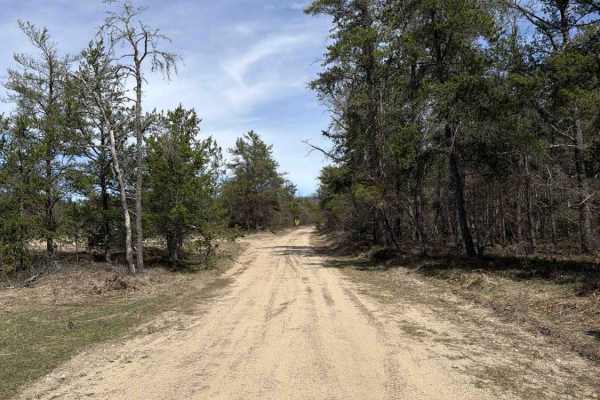 Bucks East & West Truck Trail