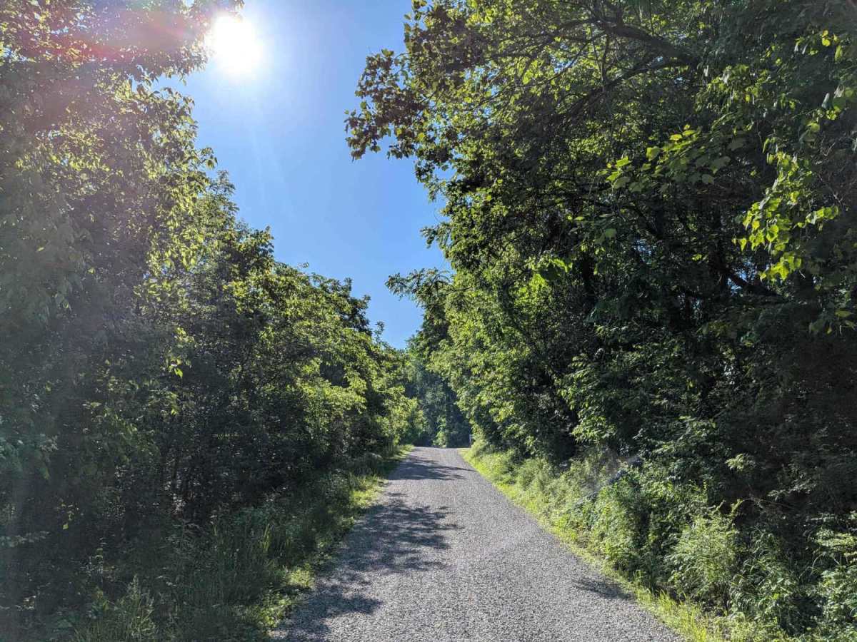 Whites Gap Road photo 4