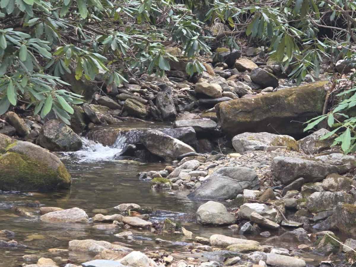 Rocky Branch Road trail photo