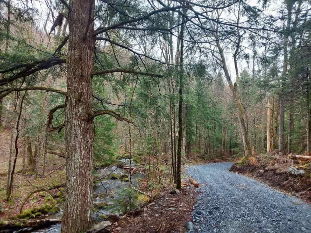 Dunville Hollow Road trail photo