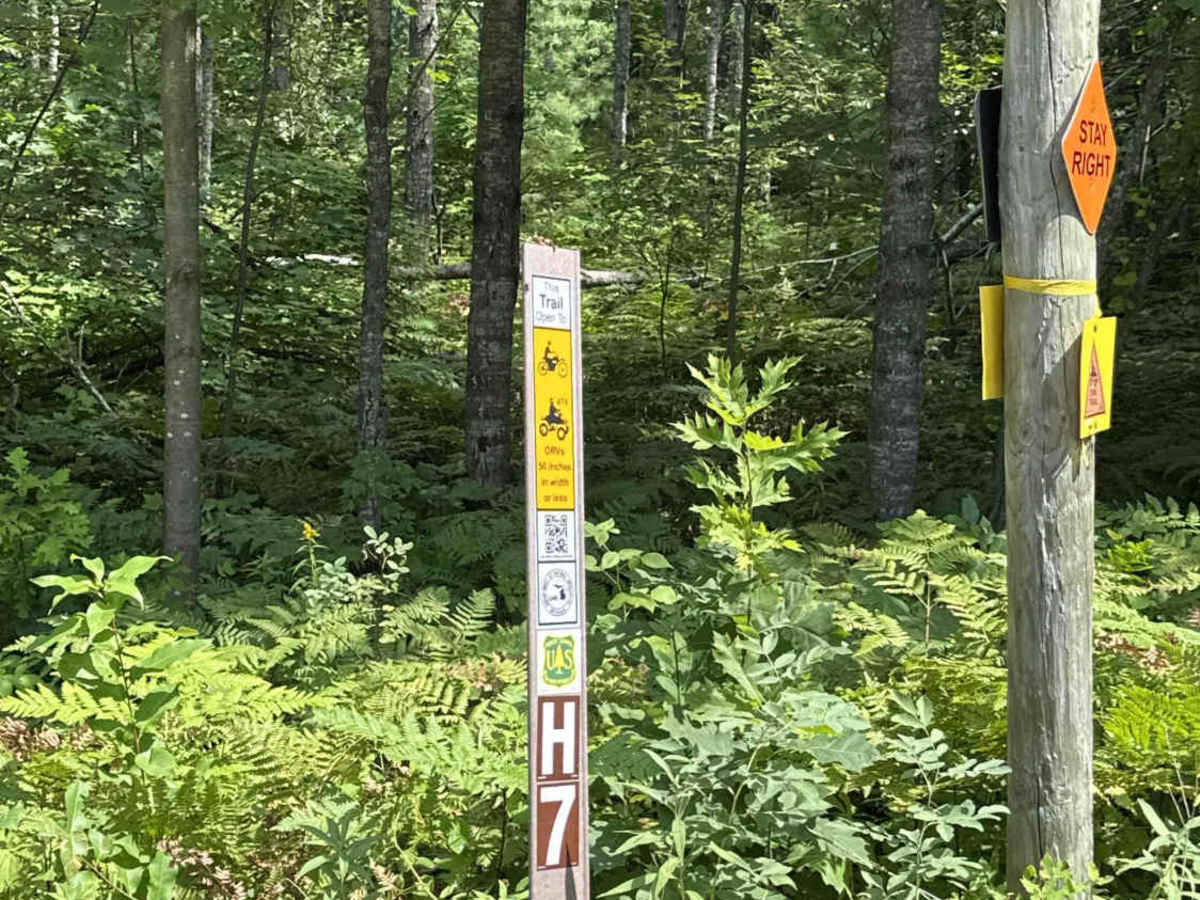 Ann Arbor Trail H7 photo 3