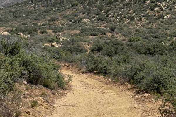 BLM 30022
