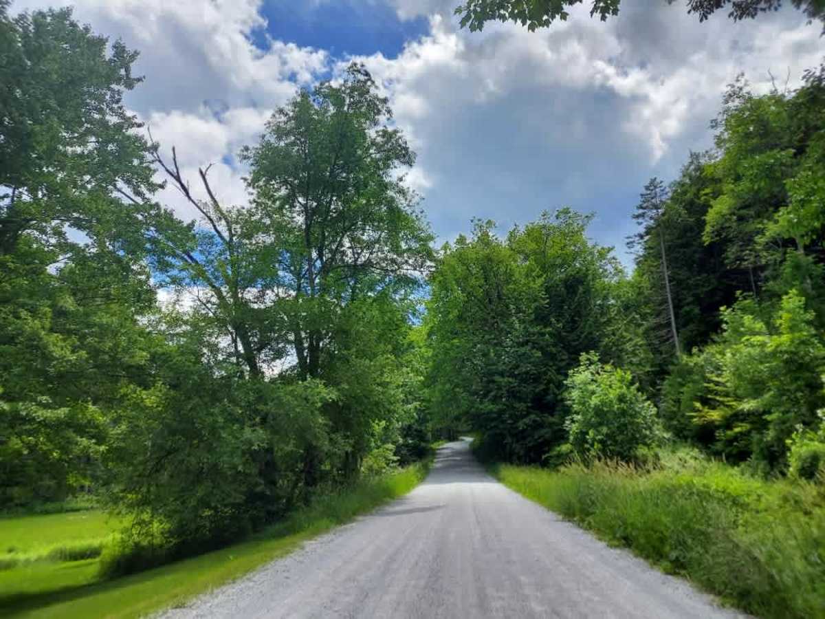 Hale Hollow Road photo 3