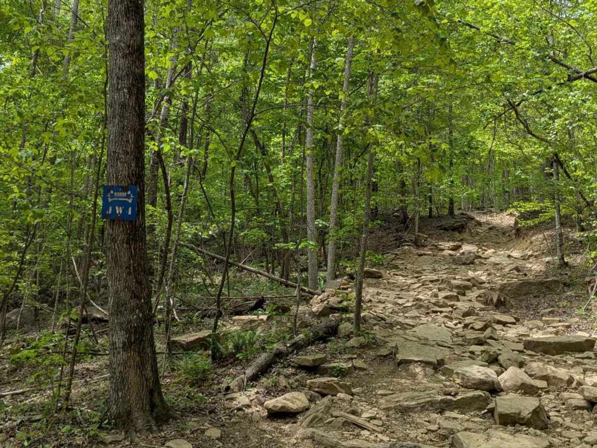 JW4 trail photo