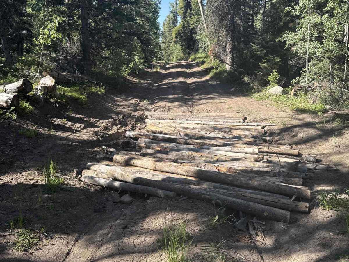 Willows Cabin Road - FS 280 photo 2