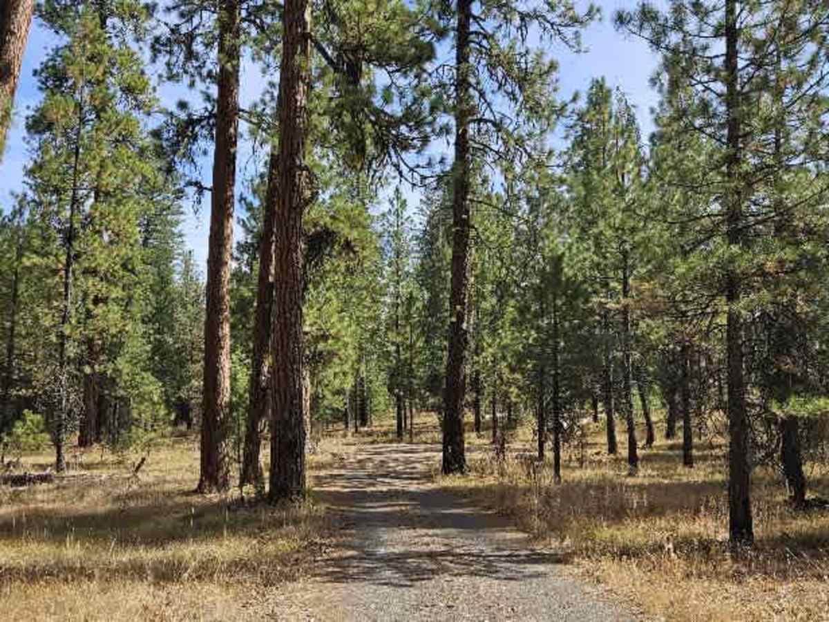 FS 5840400 trail photo