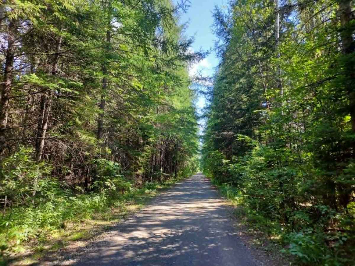 Southern Bangor & Aroostook Upper Trail photo 4