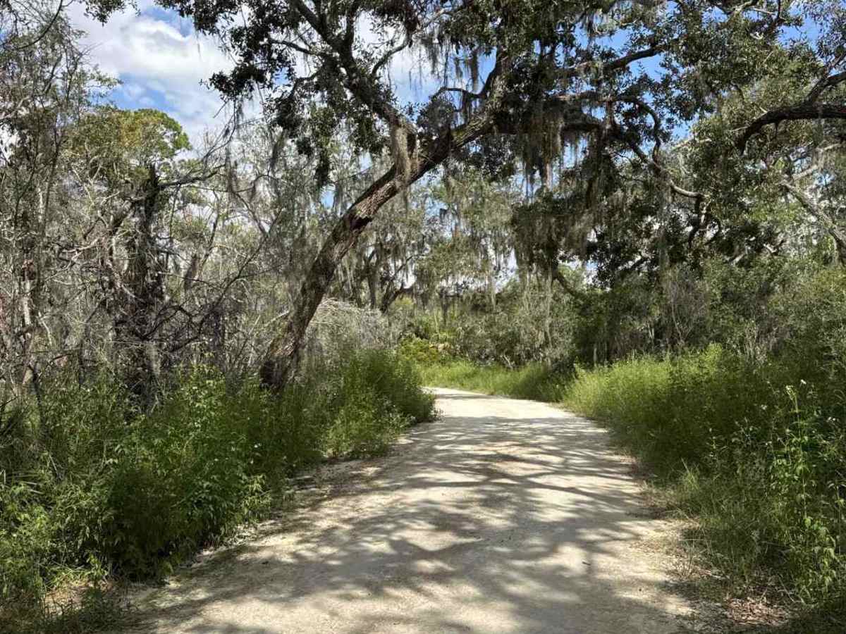 Fishbone Creek Road photo 5