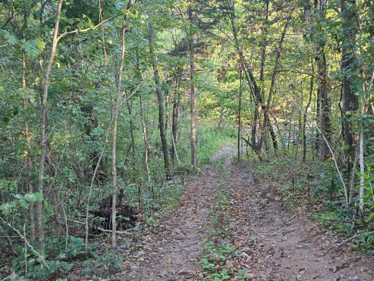 Cedar Ridge photo 5