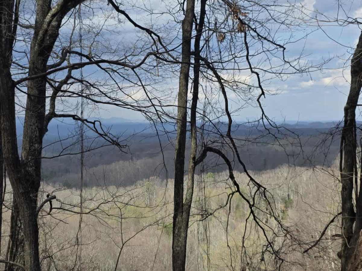 Big Creek South photo 2