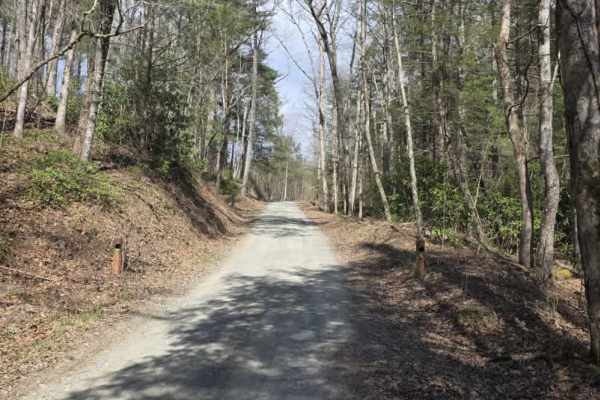 Old Flatwoods