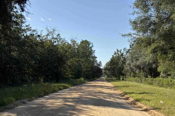 Old Starke Road