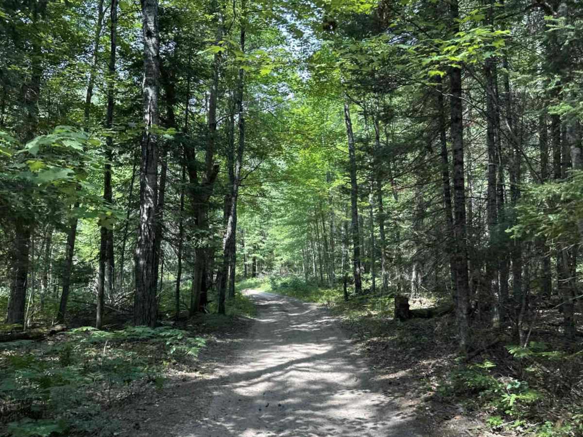 Alcona H7 photo 4
