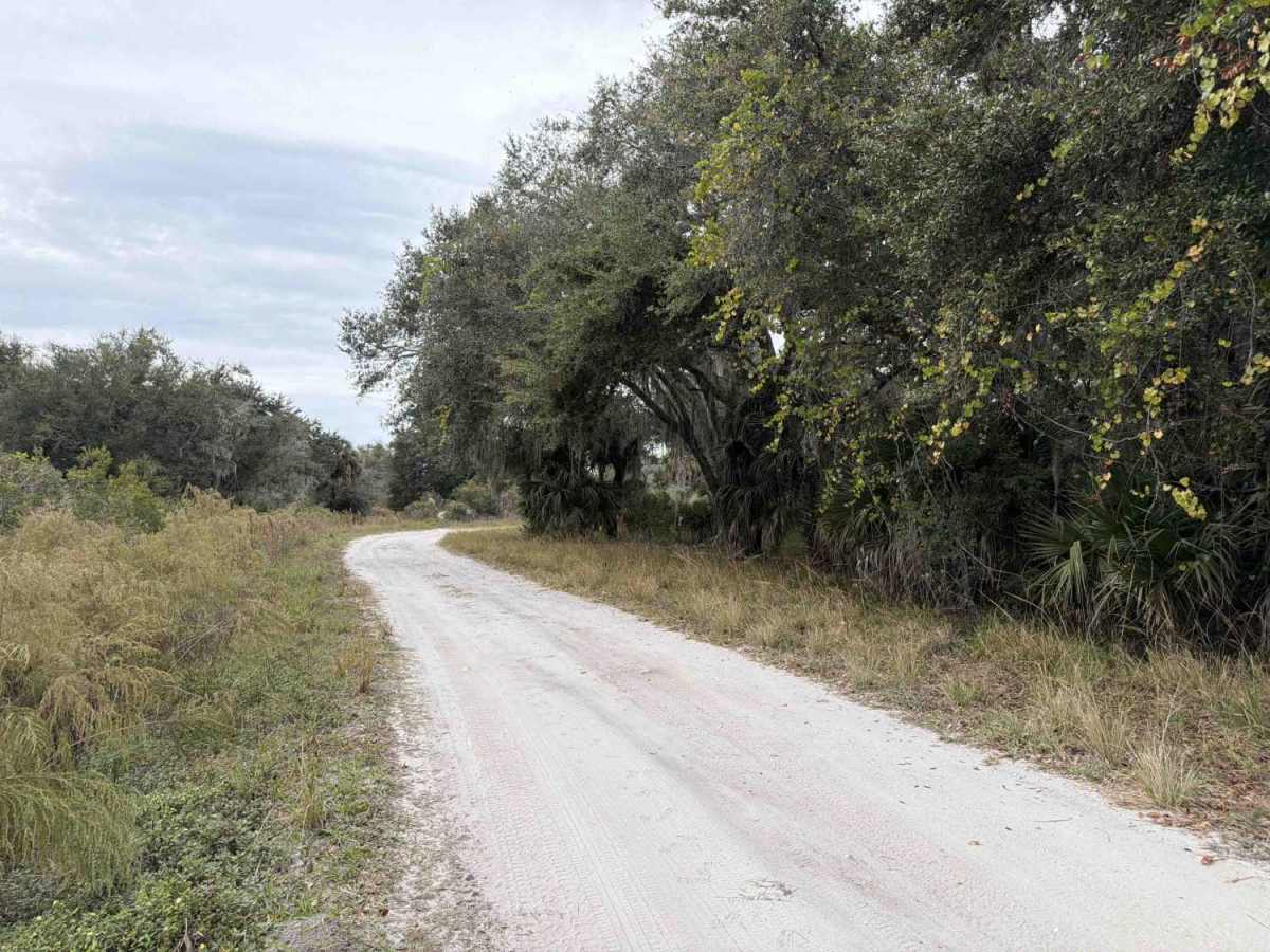 Road 16 - Three Lakes WMA photo 2