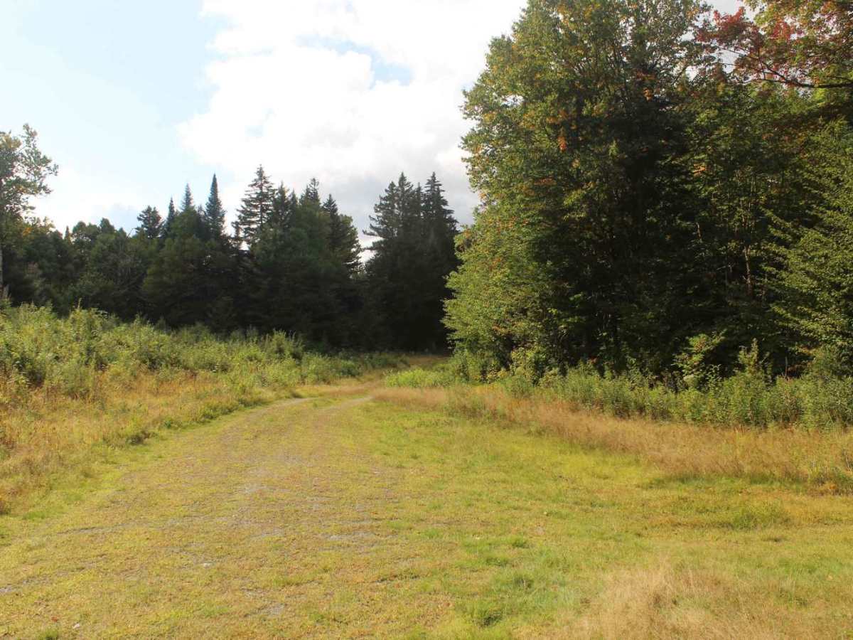 Falkenham Trail photo 5