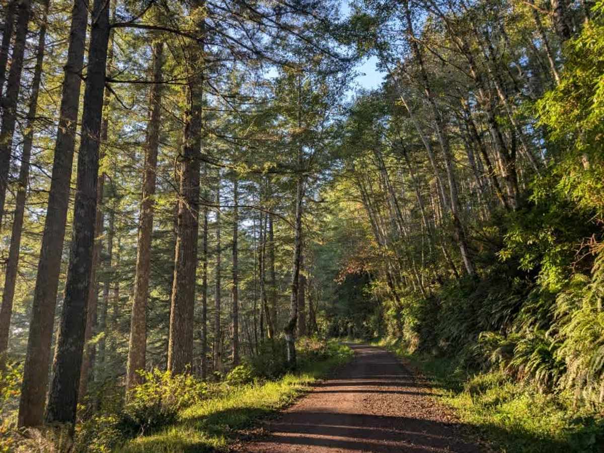 5000 trail photo