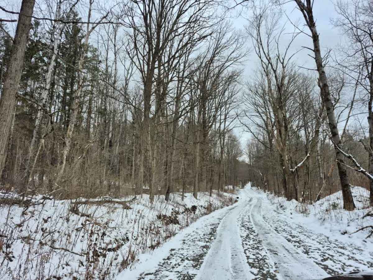 Beaver Meadow PFAR photo 4