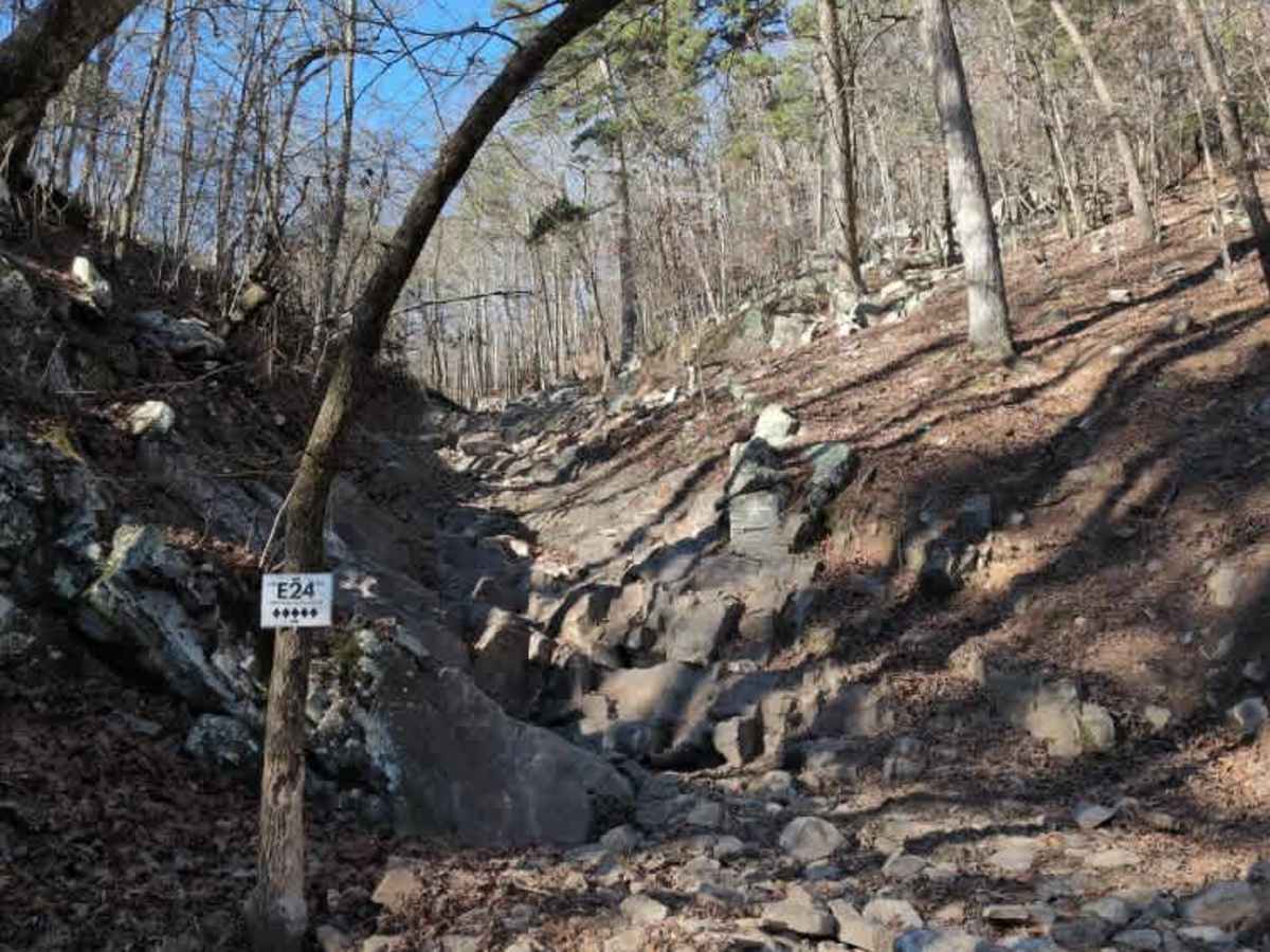 E24 Vertical Challenge trail photo