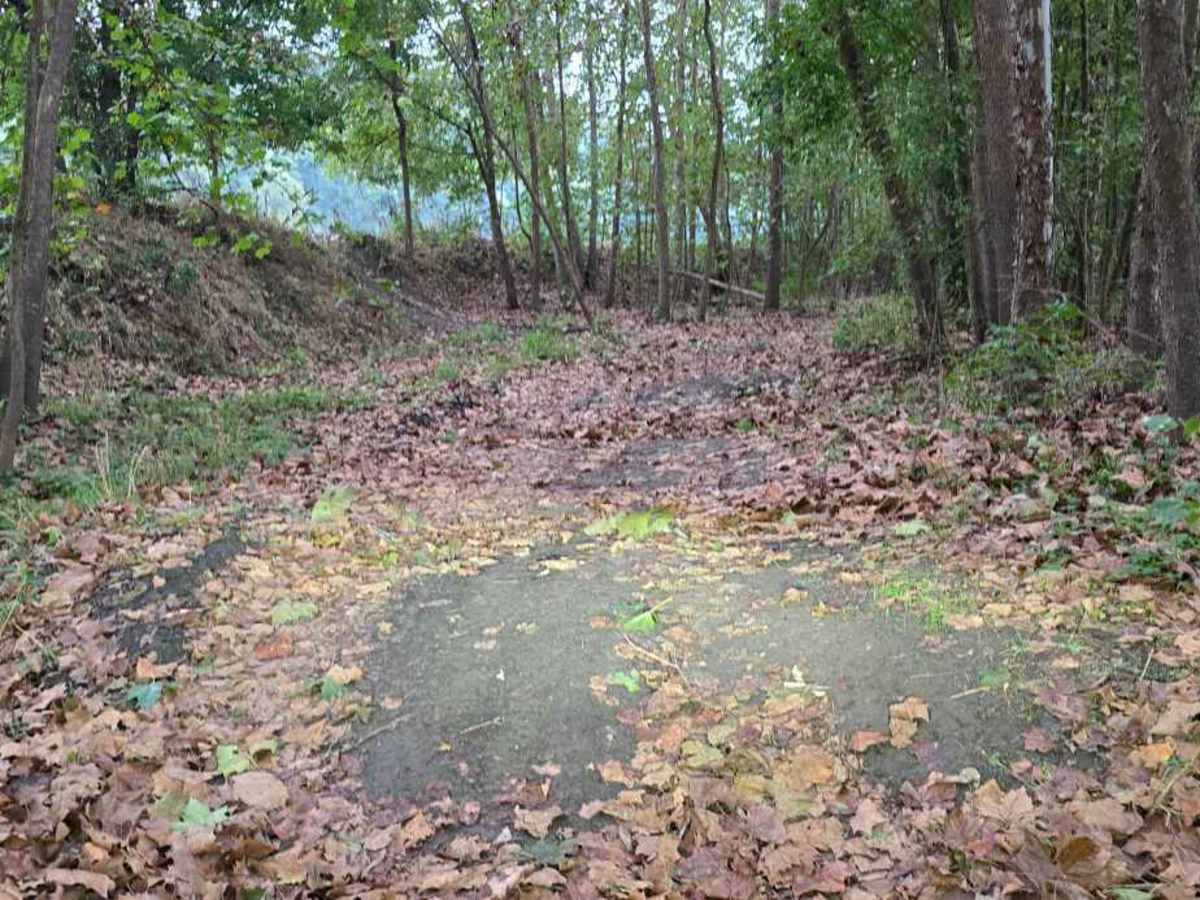 Creekside photo 2
