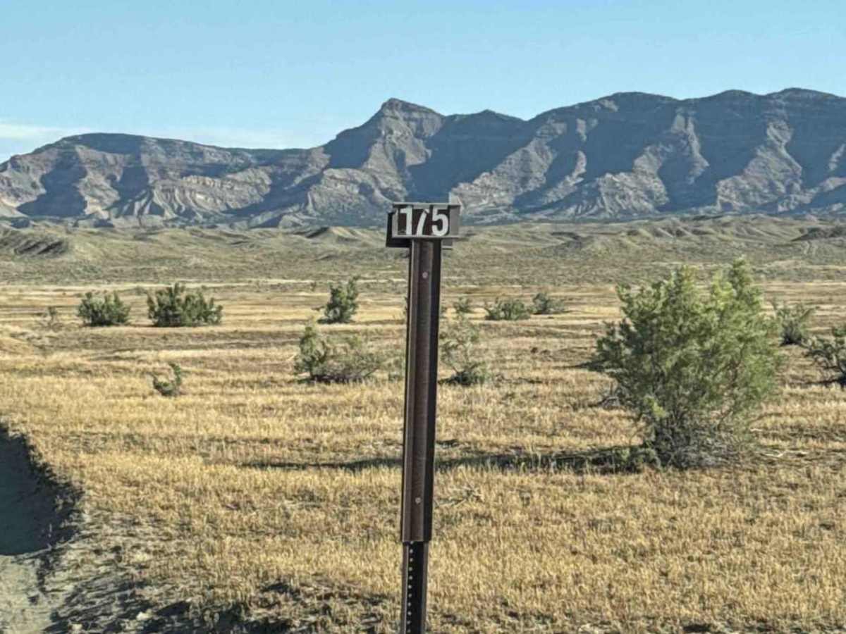 BLM 175 photo 3