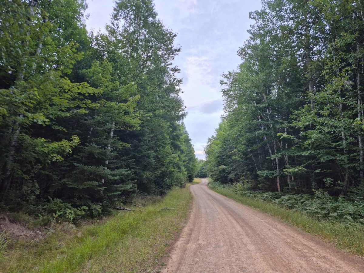 Truck Trail 2 photo 4