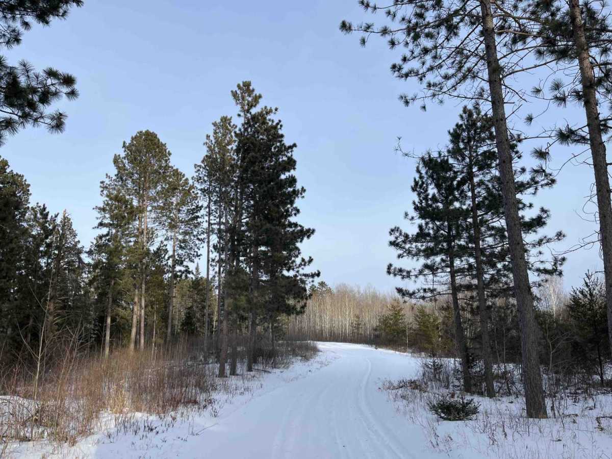 Cole Forest Road photo 5