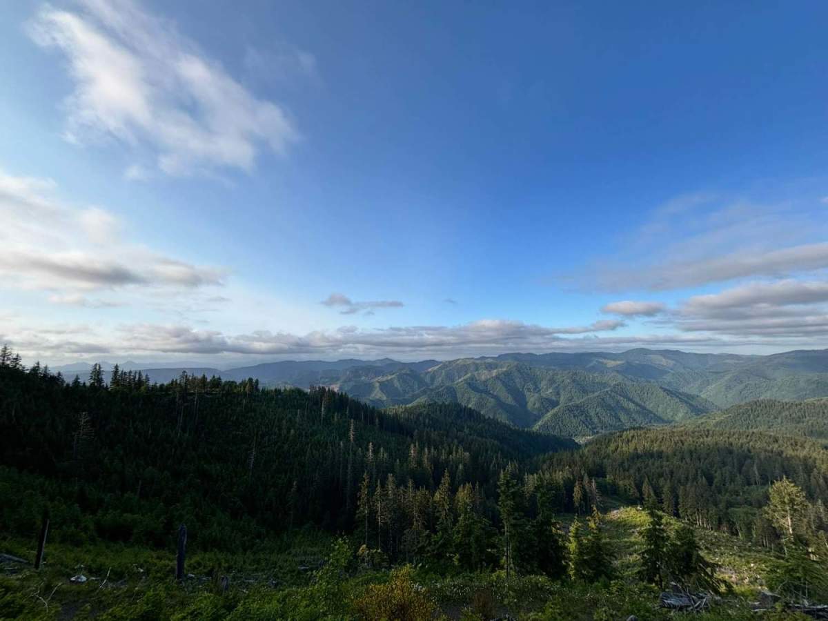 Firebreak 3 West photo 4