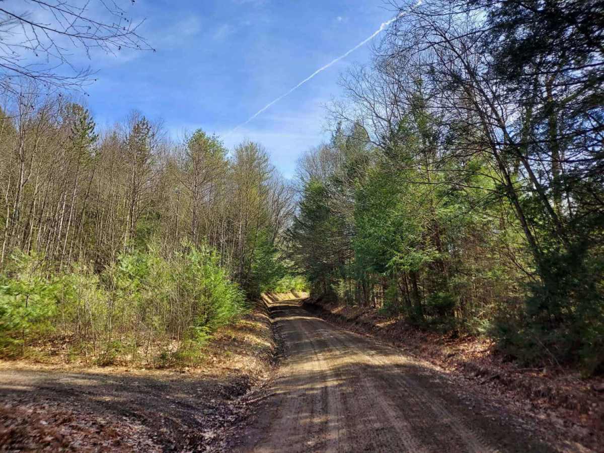 Smith Hill Road photo 3