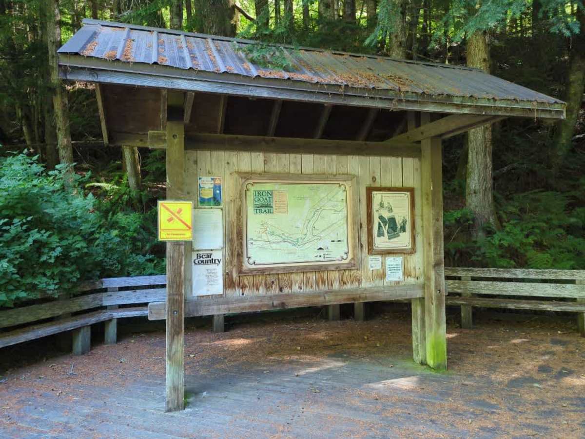 Martin Creek photo 4
