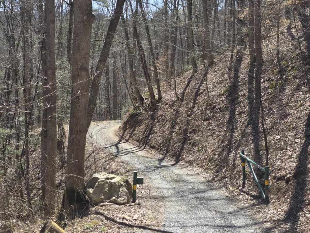 Cedar Gap trail photo